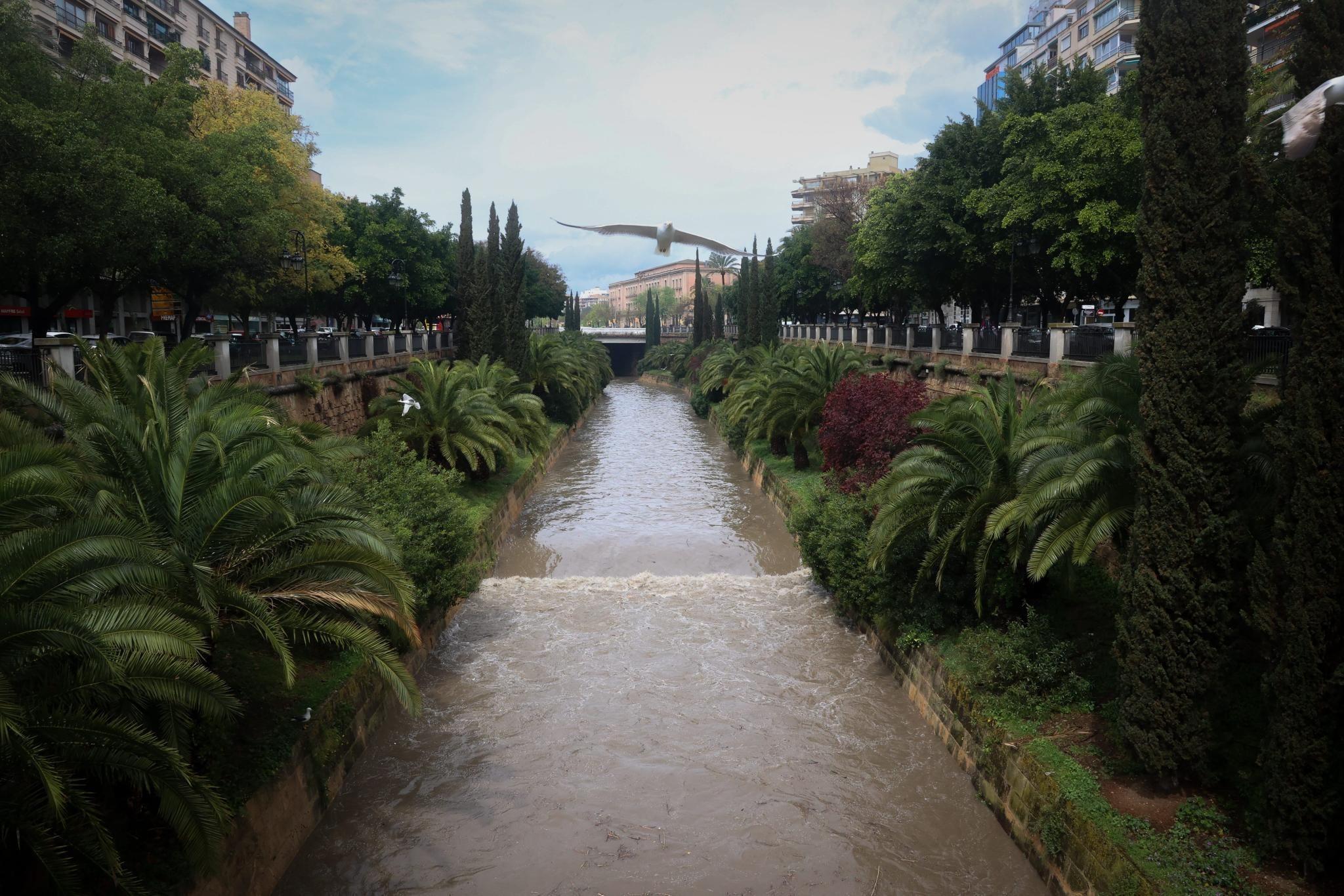 Es regnete gerade heftig: Mann bricht plötzlich auf Straße in Palma zusammen und stirbt