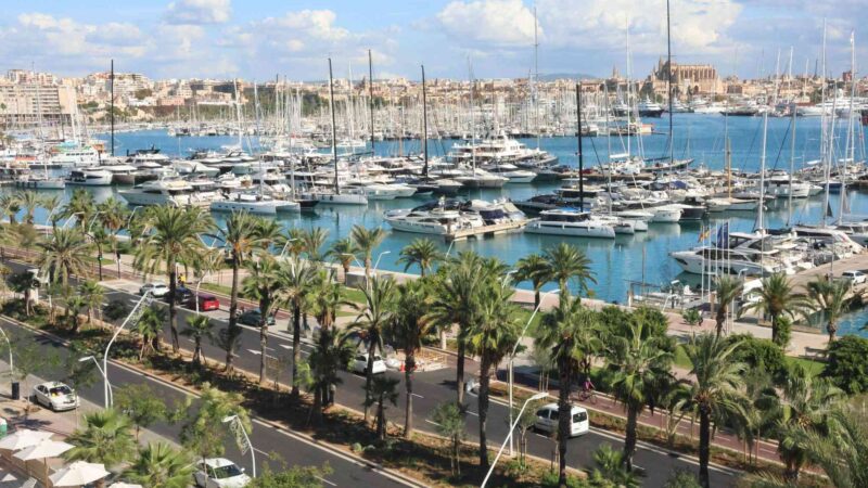 Spielplätze, schwarze Ampeln, viele Pflanzen: So proper sieht jetzt der neue Uferboulevard von Palma aus!