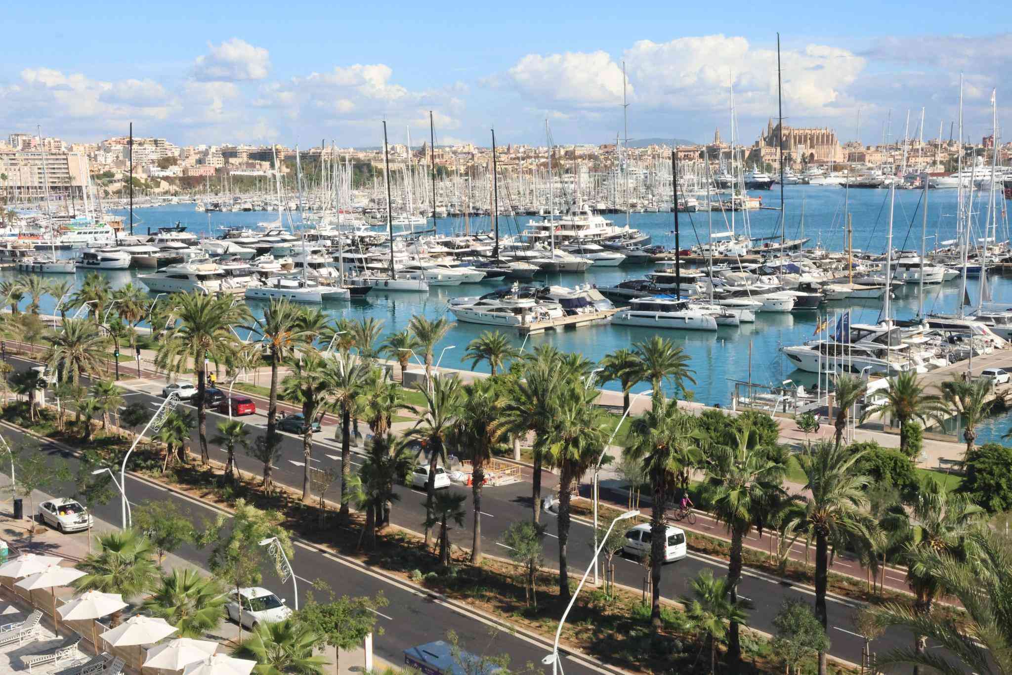 Spielplätze, schwarze Ampeln, viele Pflanzen: So proper sieht jetzt der neue Uferboulevard von Palma aus!