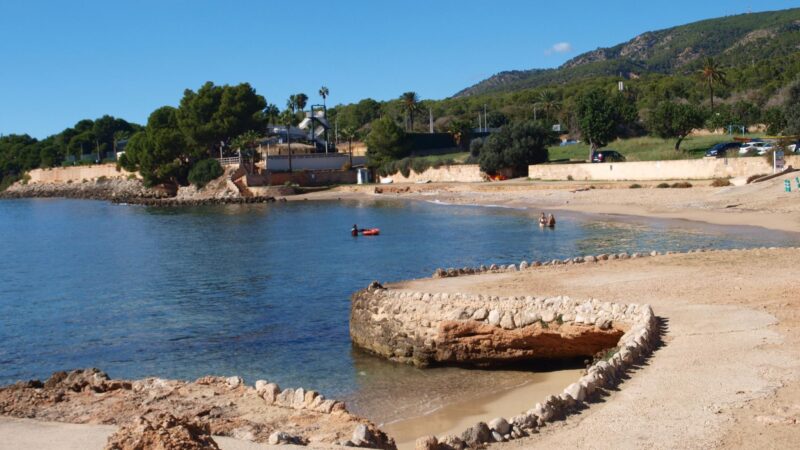 Nach Regen kommt das gute Wetter: Sankt Martin bringt Altweibersommer nach Mallorca