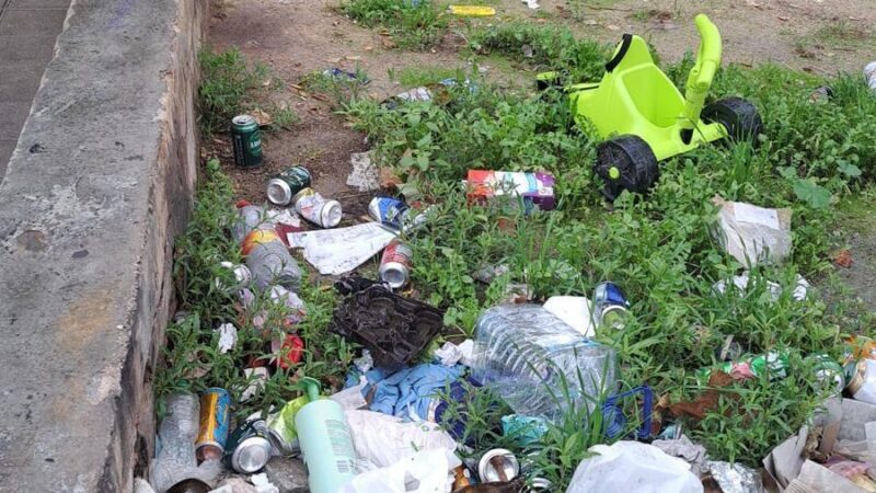 Nach Müll und Drogenspritzen: Ratten dringen in Gebäude dieses Palma-Viertels ein