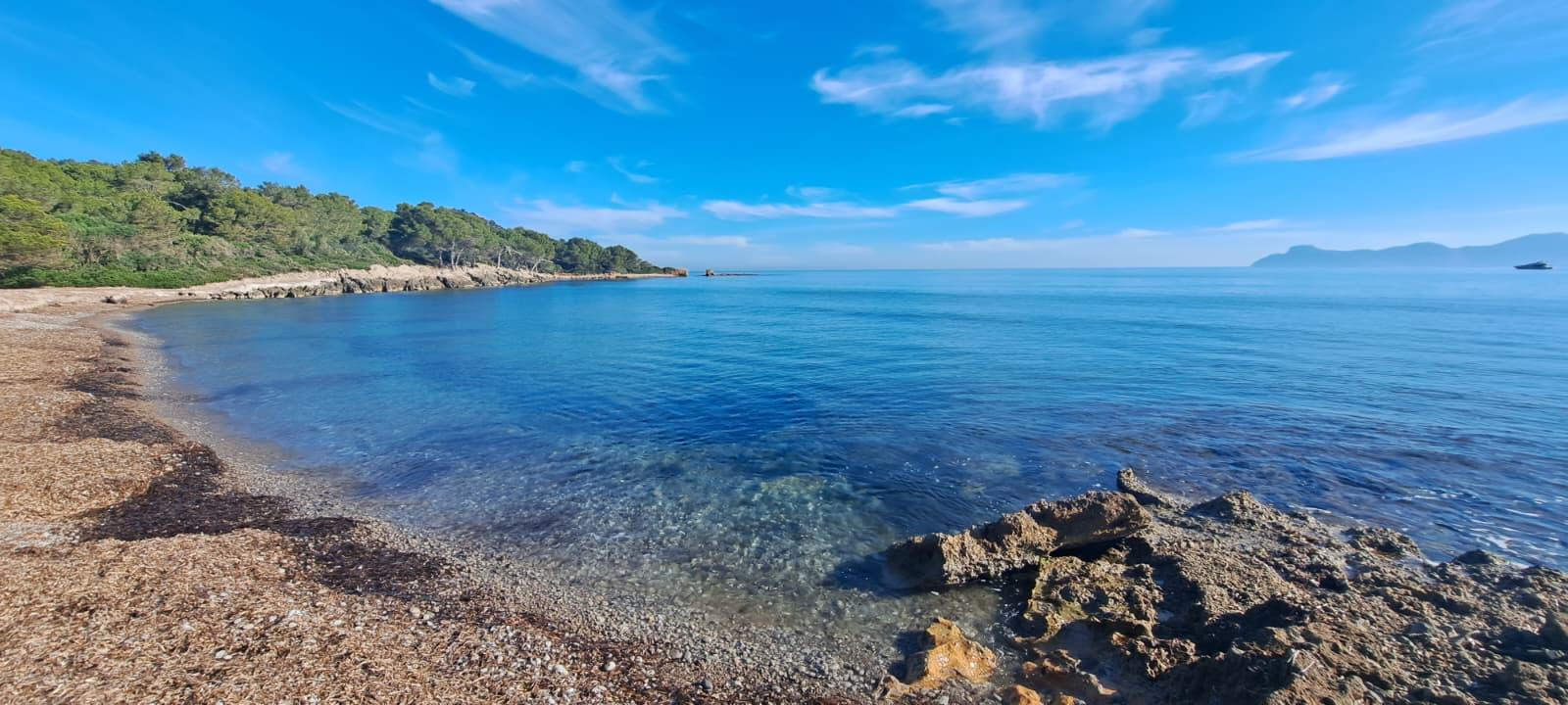 26 Grad! Kälte in Deutschland, Badewetter-Intermezzo mitten im November auf Mallorca