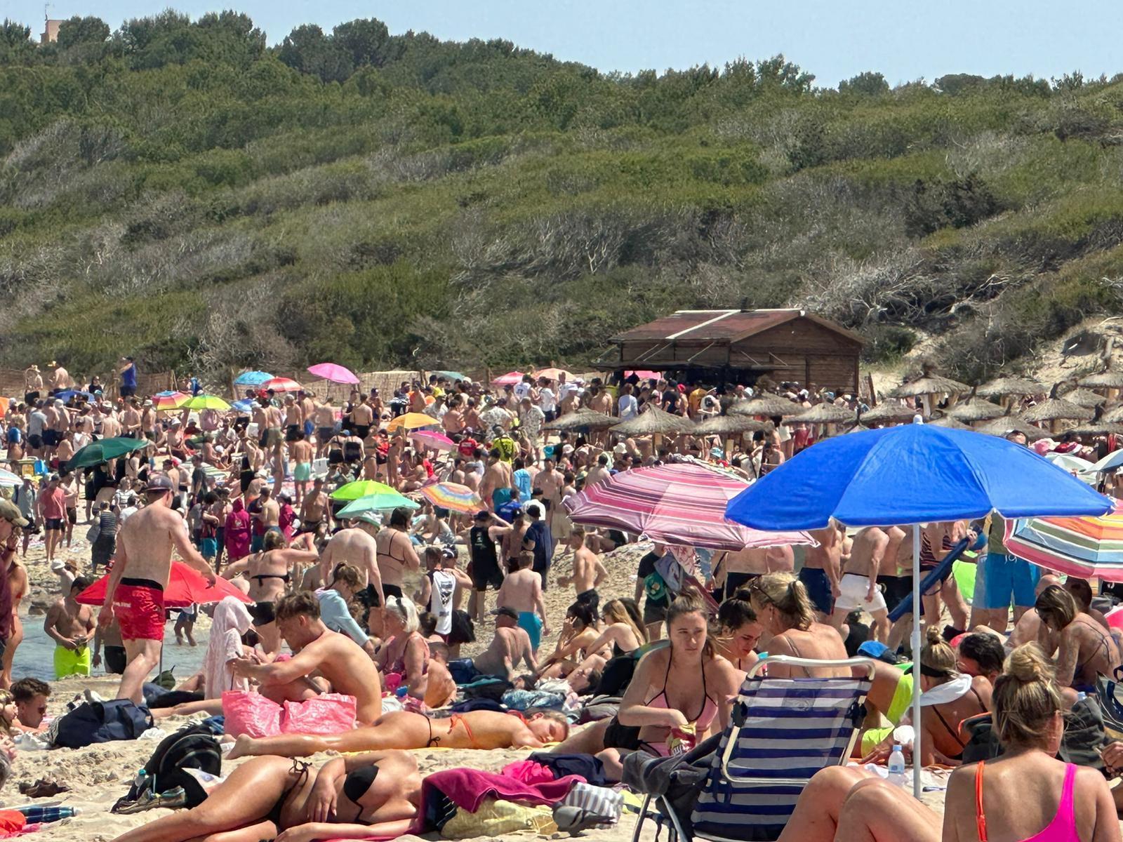 Mallorca fast ohne Touristen! So stellen sich bekannte Umweltaktivisten die Zukunft der Insel vor
