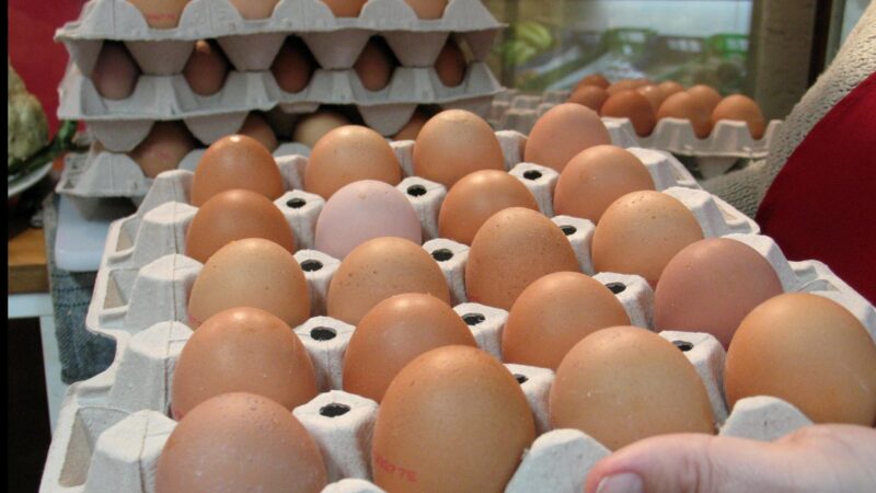 Gestiegene Lebensmittelpreise: Aus diesem Grund werden Eier auf Mallorca immer teurer