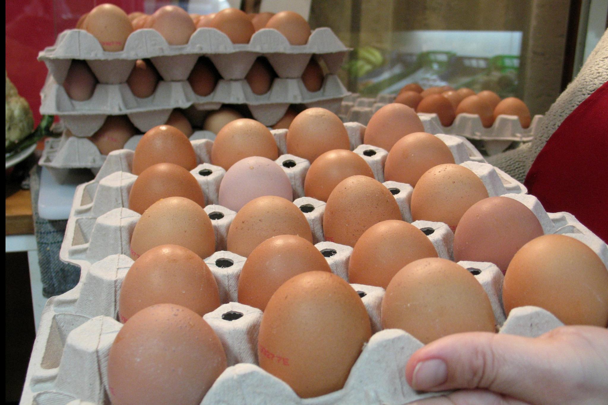 Gestiegene Lebensmittelpreise: Aus diesem Grund werden Eier auf Mallorca immer teurer