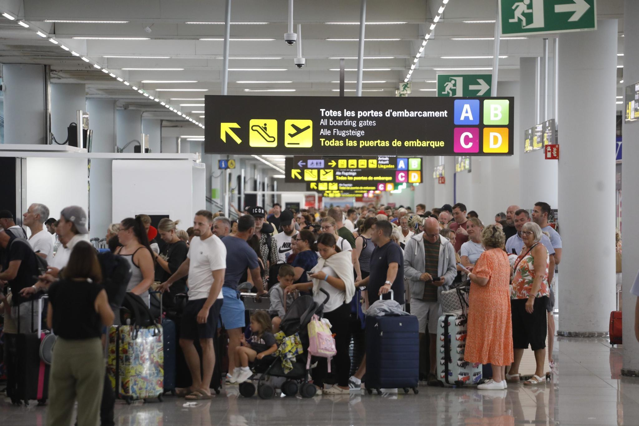 Reiseagenturen warnen: Aktuell gibt es so viele überbuchte Mallorca-Flüge wie nie zuvor