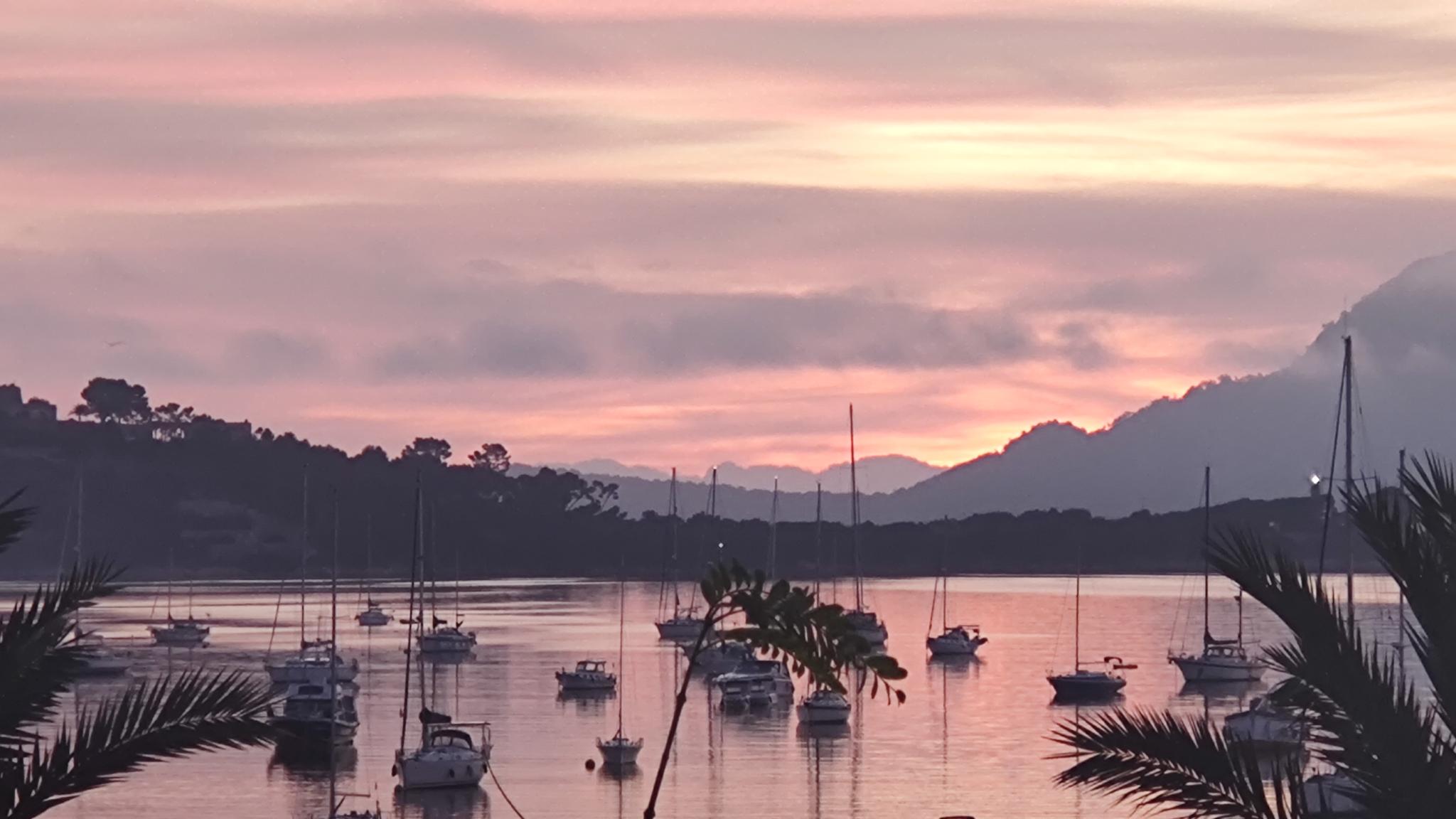 In diesen Mallorca-Dörfern kaufen Ausländer schon 60 Prozent der Immobilien