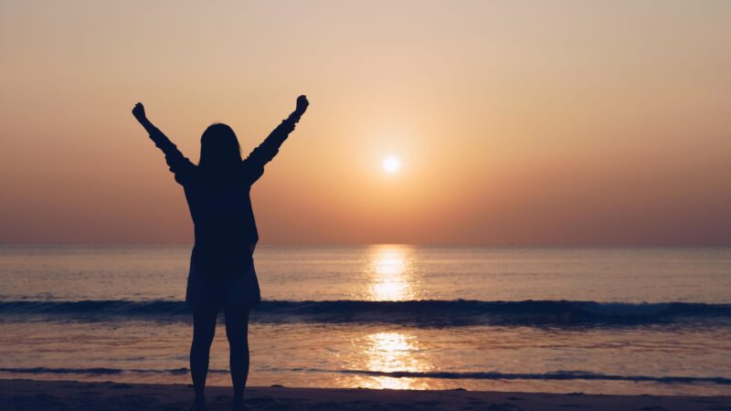 Kaum zu glauben: Mitten im November tropische Nacht auf Mallorca!