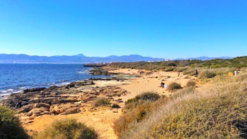 Verweste Männerleiche an Hundestrand von Palma de Mallorca gefunden