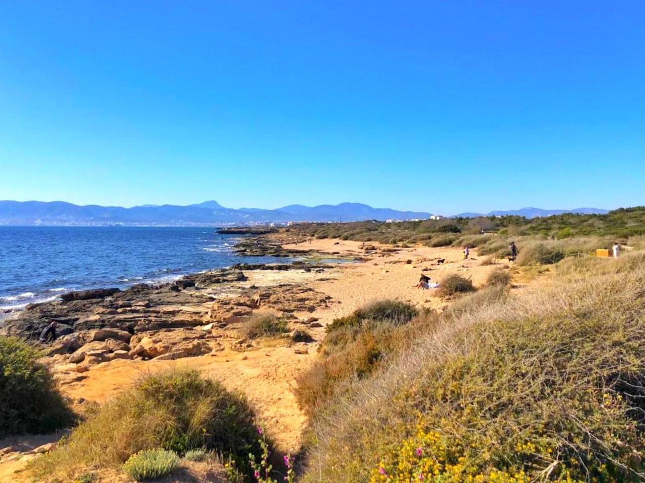 Verweste Männerleiche an Hundestrand von Palma de Mallorca gefunden