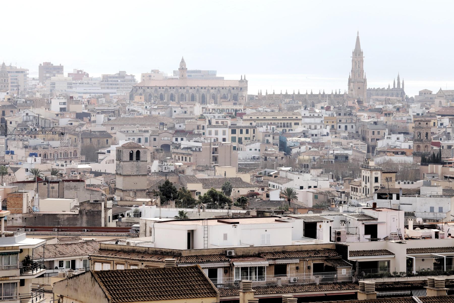 Leichter Regen und mildes Klima erwarten uns heute in Palma