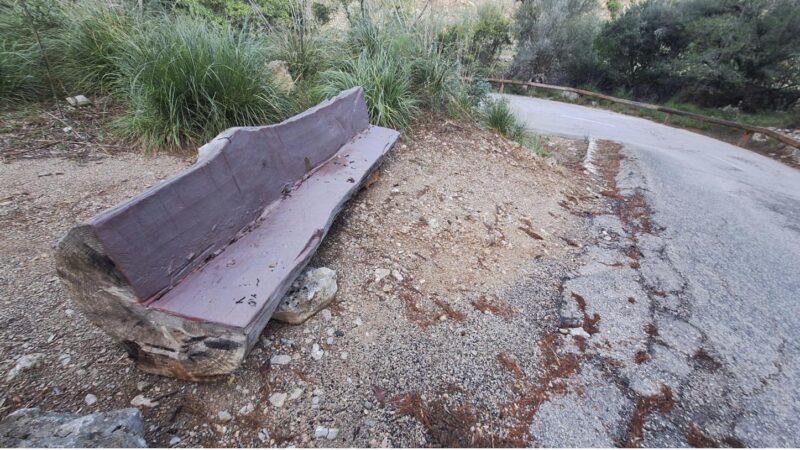 Wie aus dem Nichts aufgetaucht: Was es mit den massiven Holzbänken in Bunyola auf sich hat