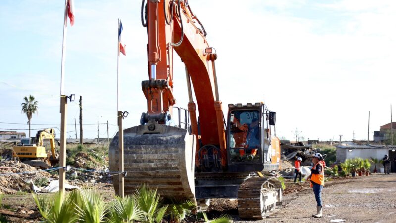 Kuriose Aktion: Drogenhändler wollten mit 280 neuen Palmen das berüchtigte Son Banya schöner machen