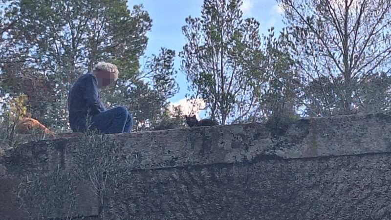 „Okupa“-Aktion in Illetes: Gebäudekomplex nahe Traumstränden von Mallorca besetzt