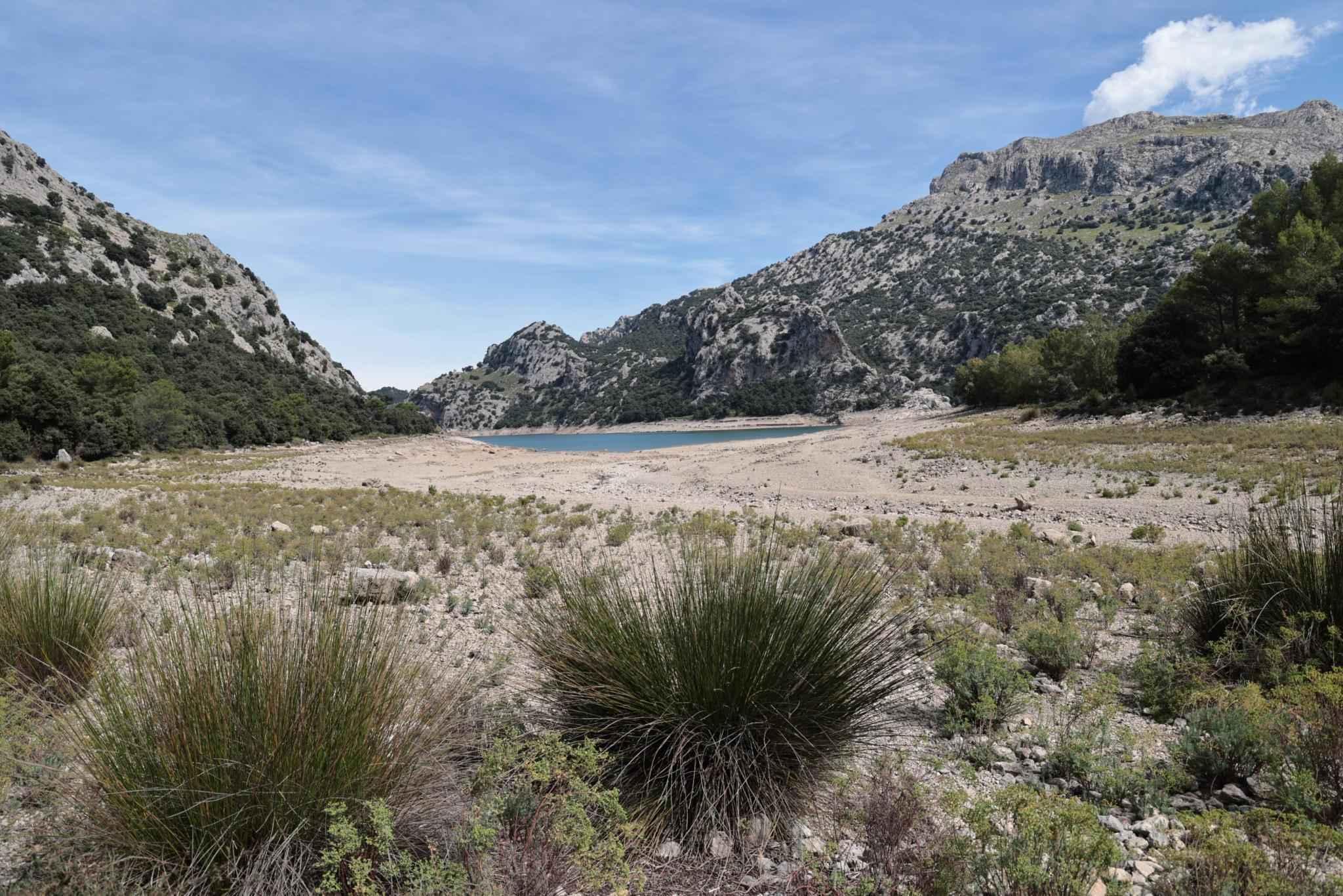 Trotz Regen, Schnee und Kälte: Mallorca-Stauseen immer noch bedenklich leer