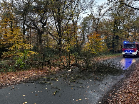 FW-Schermbeck: Baum auf Fahrbahn