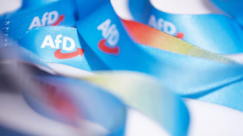 Neue AfD-Jugendorganisation: Neuer Name, alte Netzwerke