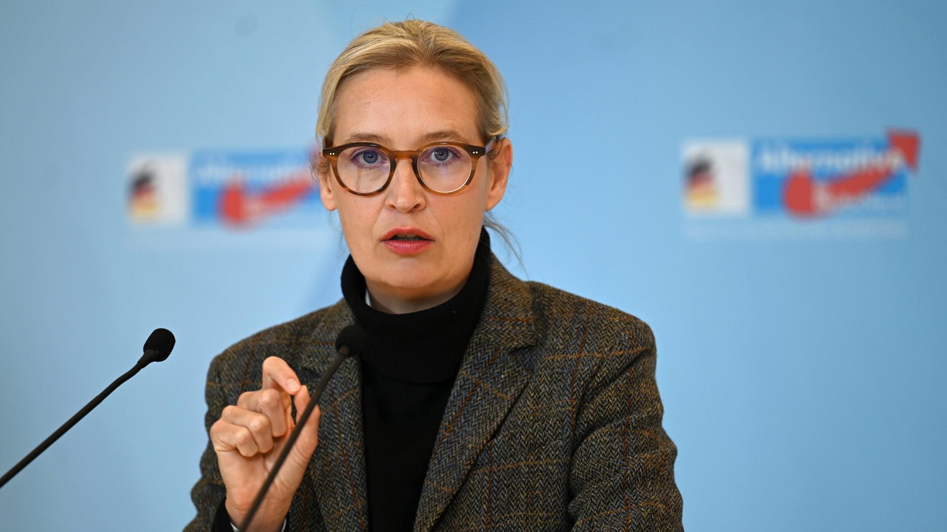 Weidel erteilt Russlandreise eines AfD-Abgeordneten eine Absage