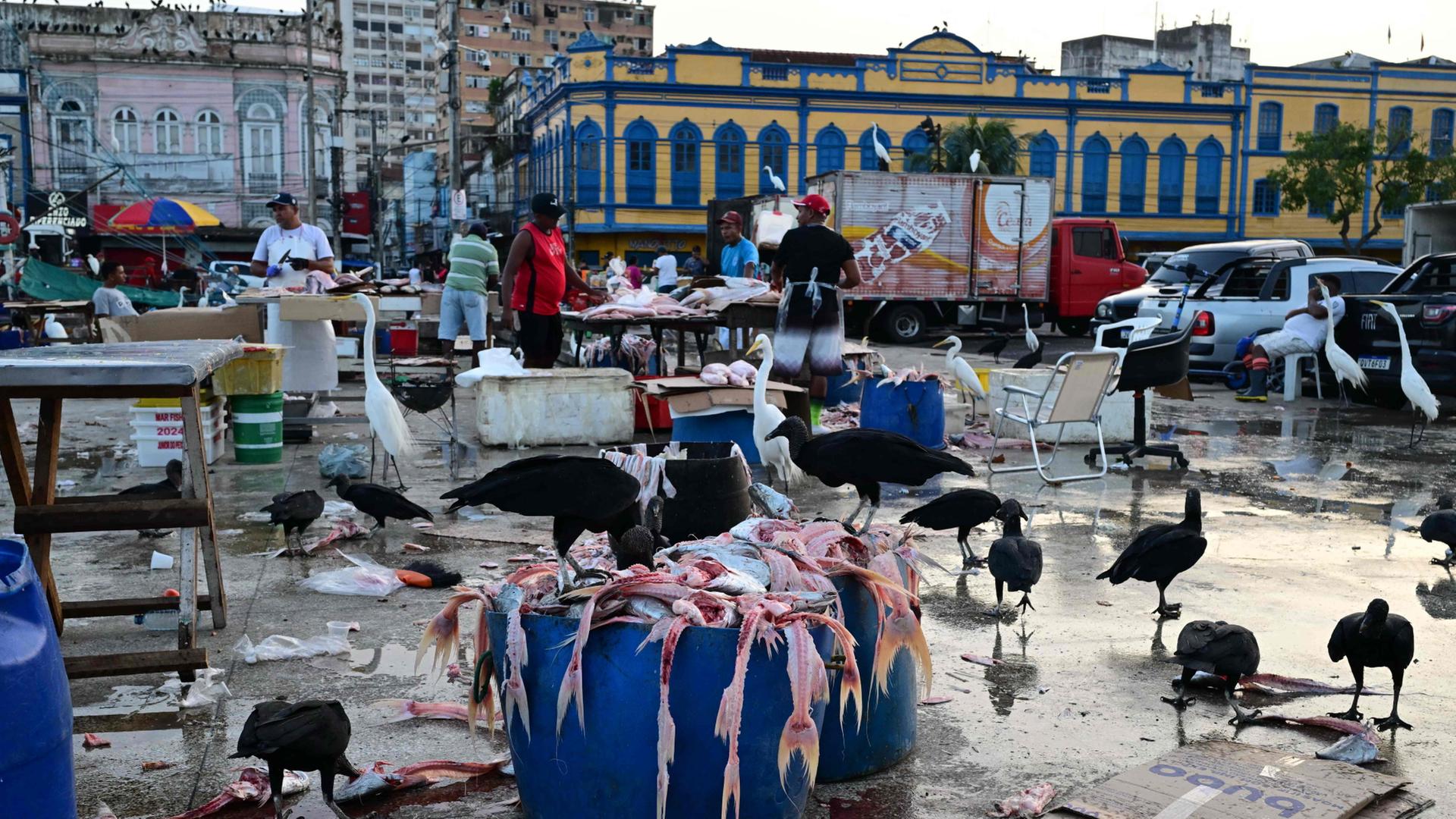 Belém: Chaotisch, sympathisch – und voller Widersprüche