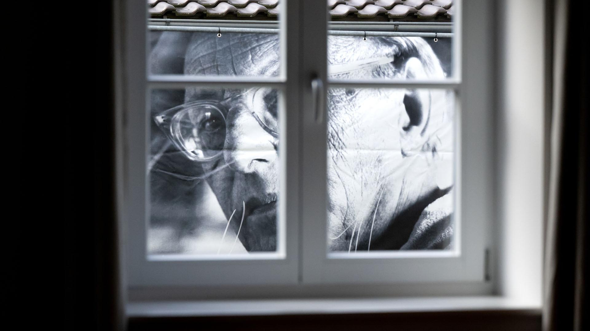 Neues Museum für umstrittenen Komponisten Carl Orff eröffnet