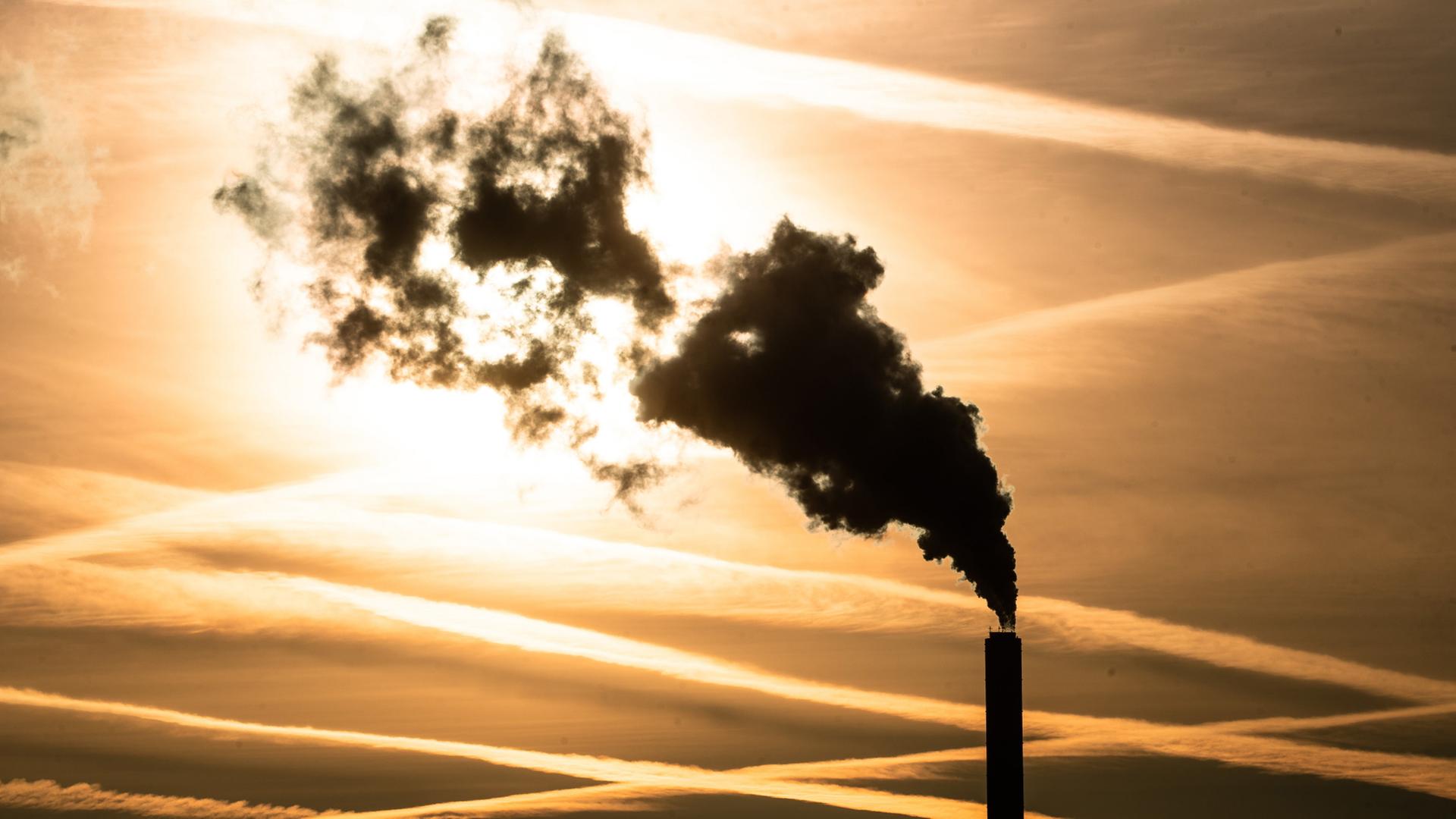 EU-Klimaziel für 2040 – Umweltminister versuchen Einigung