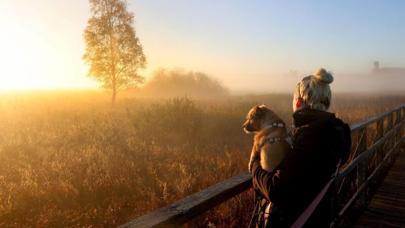 Wie sich die Persönlichkeit entwickelt