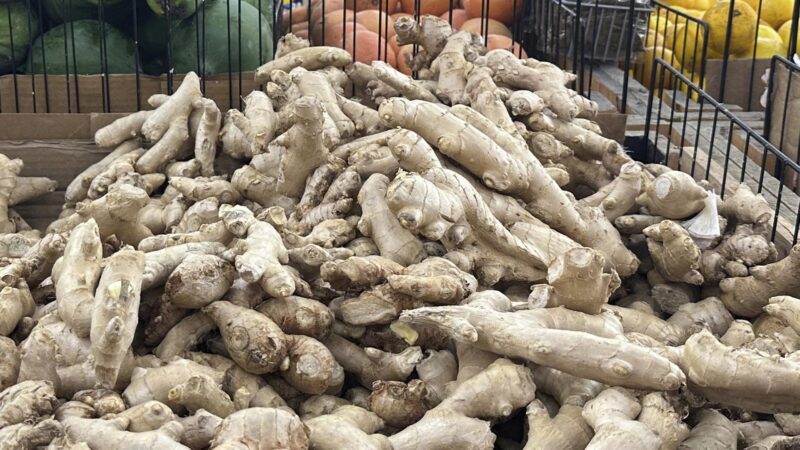 So effektiv sind Ingwershots wirklich für das Immunsystem