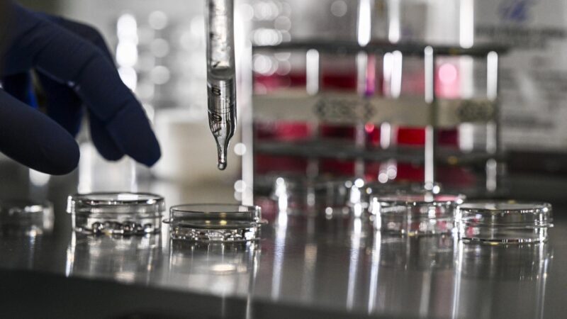 Stockholm-Deklaration: Vorgehen gegen Wissenschaftsbetrug