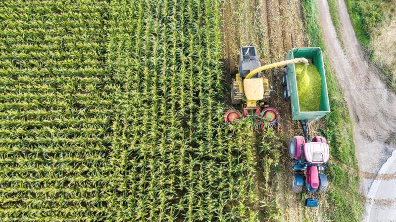 EU bringt weitere Erleichterungen für Landwirte auf den Weg