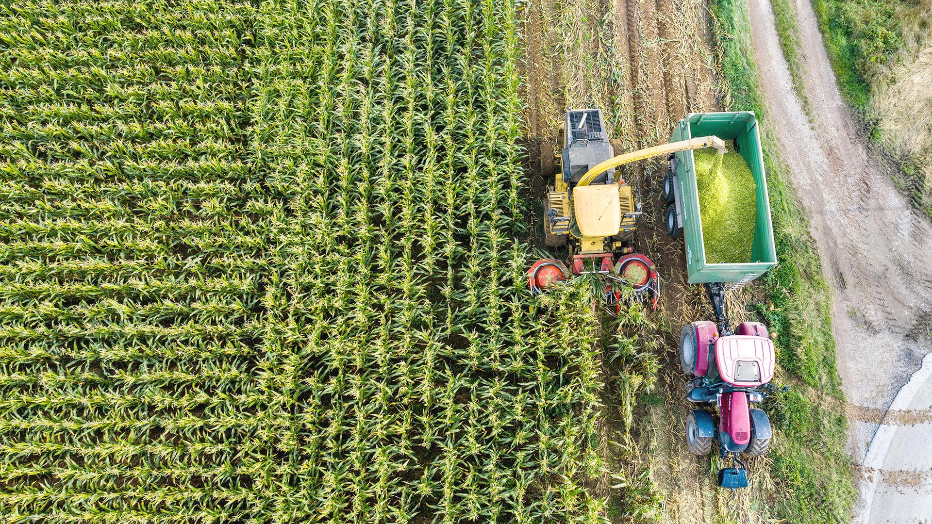 EU bringt weitere Erleichterungen für Landwirte auf den Weg