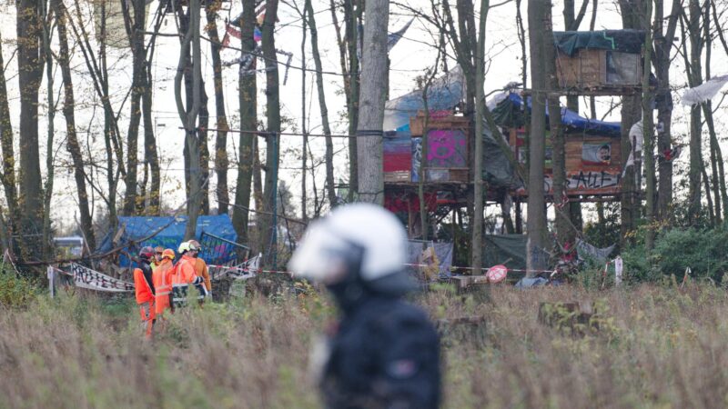 Nordrhein-Westfalen: Polizei räumt Baumhütten im Hambacher Forst