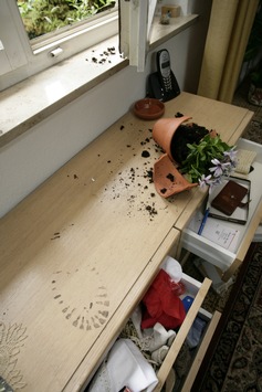 POL-PDNW: In Wohnhaus eingebrochen