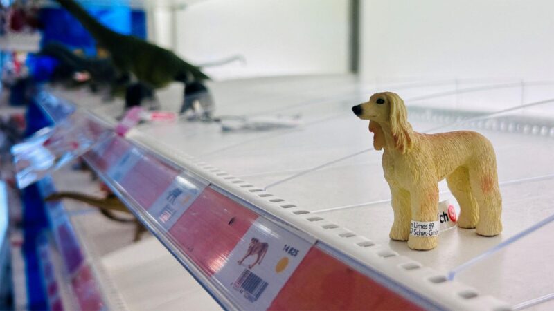 Tausende Läden schließen dieses Jahr – das Beispiel Mainz