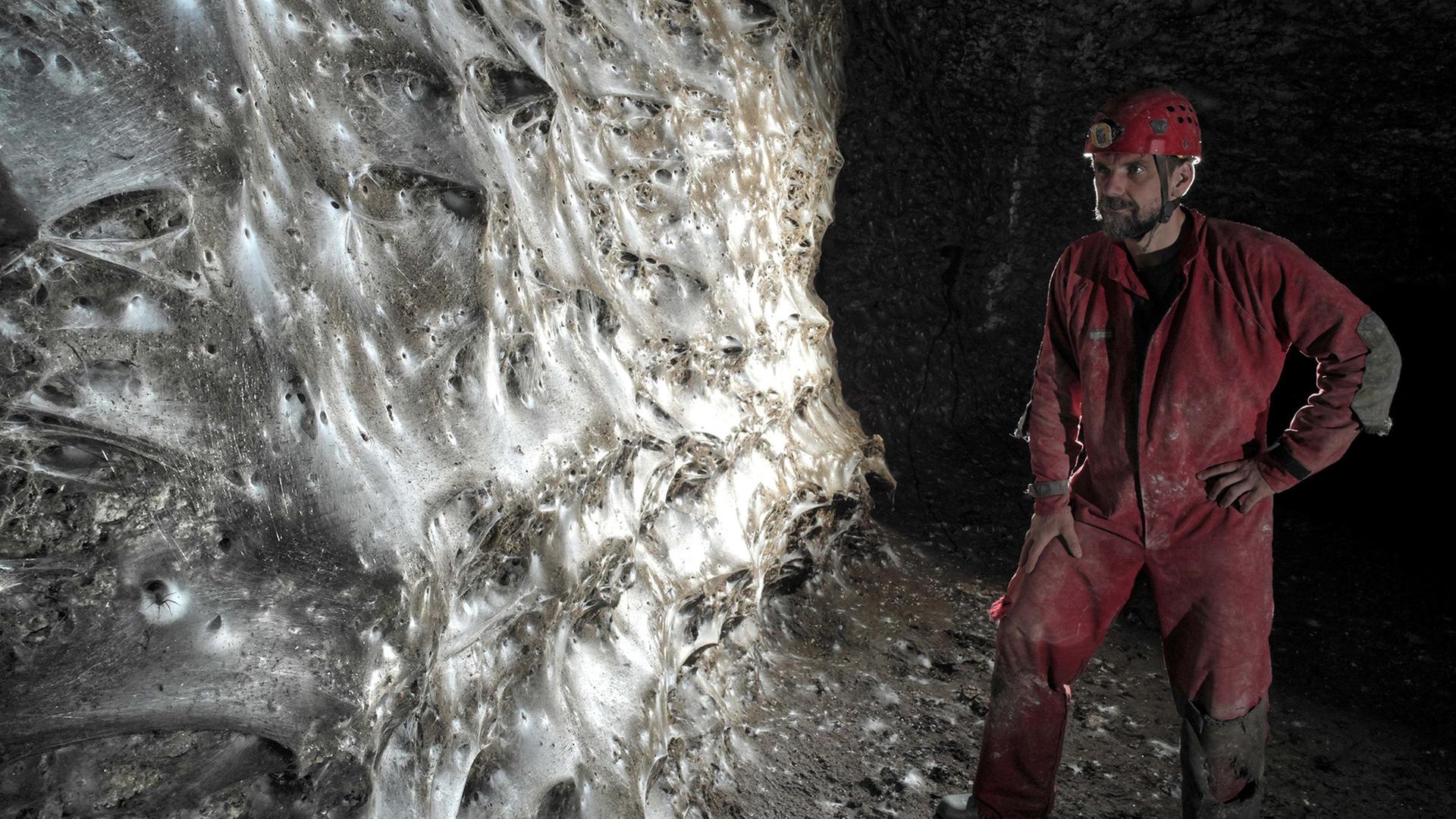 Riesiges Spinnennetz in griechischer Höhle entdeckt