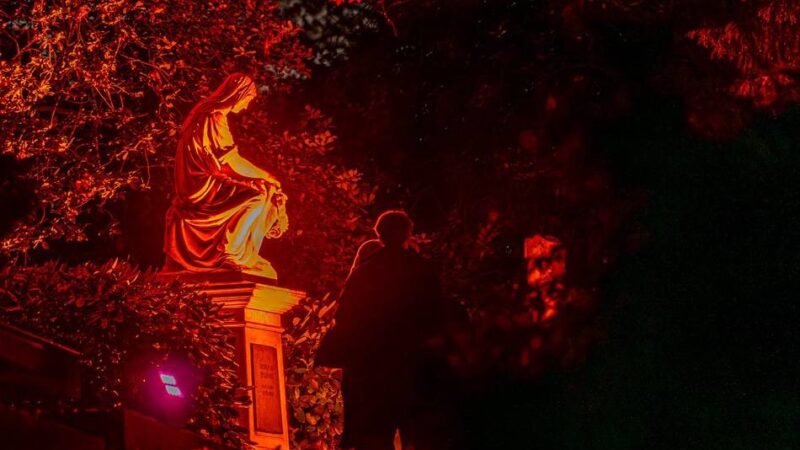Illumination in Düsseldorf: So stimmungsvoll war Allerheiligen 2025 auf dem Nordfriedhof
