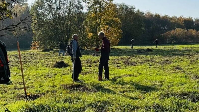 Naturschutz in Langenfeld: Invasive Pflanzen im Landschaftspark Fuhrkamp beseitigt