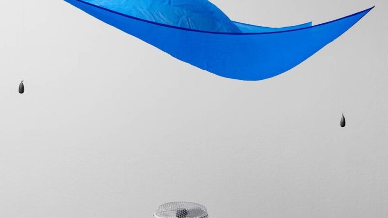 Neue Ausstellung: Der Kunstpalast verbindet Physik und Philosophie zu Schönheit