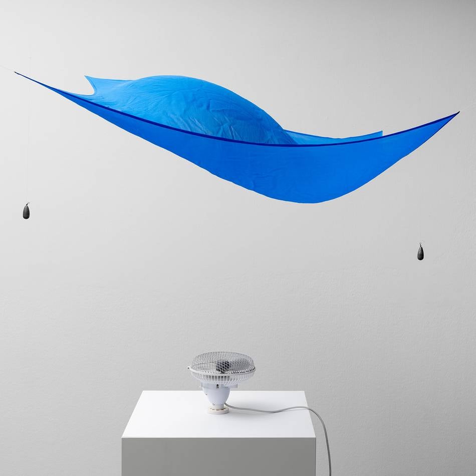 Neue Ausstellung: Der Kunstpalast verbindet Physik und Philosophie zu Schönheit