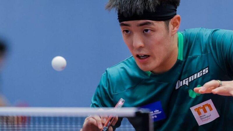 WTT-Champions Montpellier: Dang Qiu scheitert im Viertelfinale