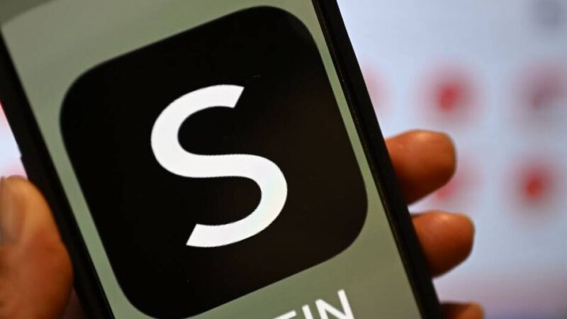 Shein droht komplette Sperre: Empörung in Frankreich über Sexpuppen in Kinderoptik