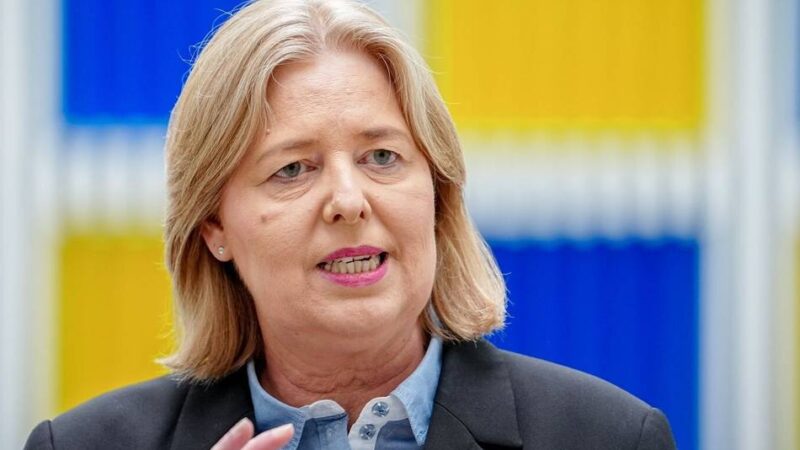 Wirkungslose Aktivrente, teure Haltelinie: Schlechte Noten für die Rentenpolitik