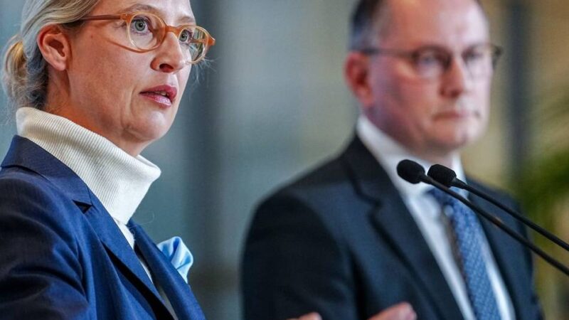 AfD-Politiker in Russland: Wie Putin Alice Weidel und Tino Chrupalla entzweit