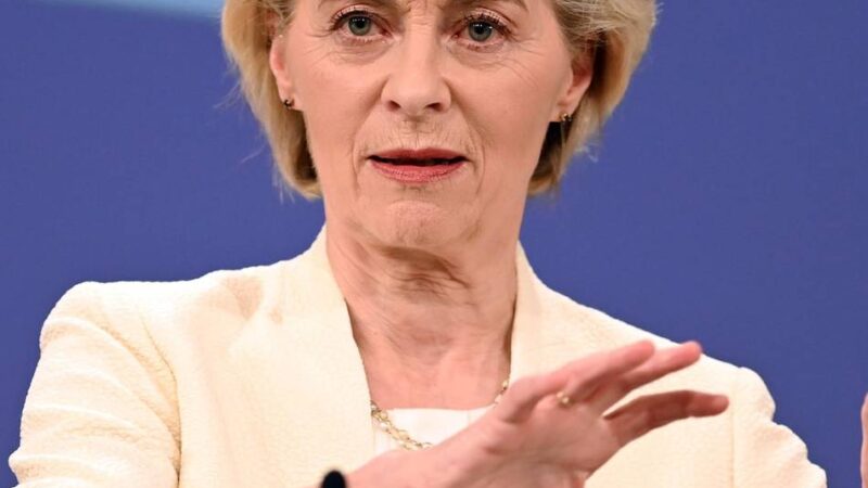 Krieg in der Ukraine: Russisches Geld für Kiew? Von der Leyen schreibt Merz & Co.