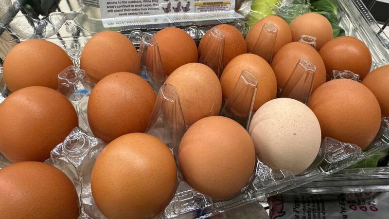 Shutdown in den USA: Aussetzung „rechtswidrig“ – Amerikaner können auf Lebensmittelgeld hoffen