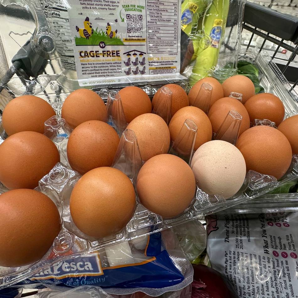 Shutdown in den USA: Aussetzung „rechtswidrig“ – Amerikaner können auf Lebensmittelgeld hoffen