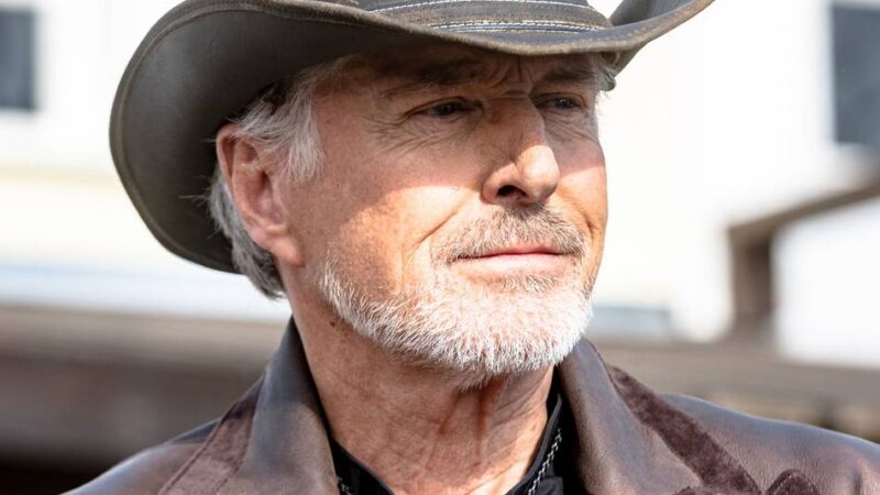 Buchvorstellung: „Vaterliebe“: Nick Wilders Roman mit bedrückender Aktualität