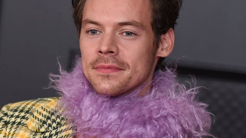 Zwischen Meme, Memme und Macho: Der Performative Male