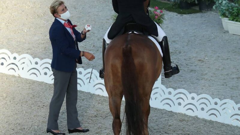 Reitsport: Deutscher Reitverband gegen Änderung der „Blut-Regel“