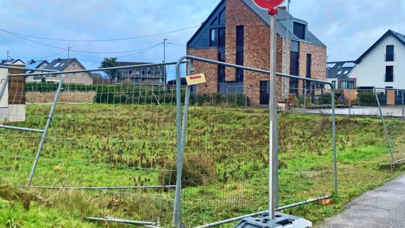 Verkehr in Düsseldorf: Ein Zebrastreifen soll Fußgänger besser schützen