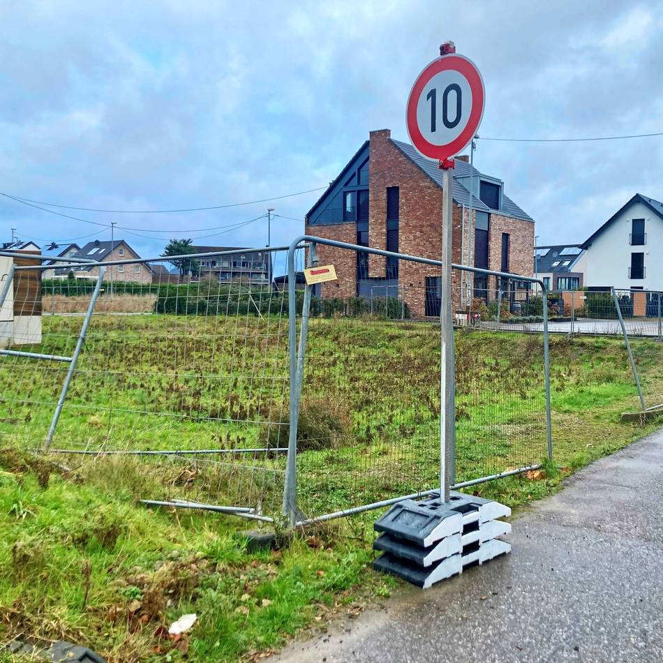 Verkehr in Düsseldorf: Ein Zebrastreifen soll Fußgänger besser schützen